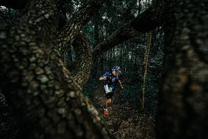 BIB: 
                            <button type="button" onclick="openModal(25678218)" class="btn btn-primary btn-sm float-right btn-popup" data-toggle="modal" data-target=".modal-high-quality">
                        <i class="fas fa-shopping-cart"></i> Add to Cart
                    </button>
                                            <button type="button" onclick="isThisMe(25678218, true)" class="btn btn-success btn-sm float-right btn-popup btn-isme hidden" data-toggle="tooltip" data-placement="bottom" title="นี่คือรูปของคุณใช่ไหม คลิกที่นี่เพื่อเอาเข้าอัลบั้ม">
                        <i class="fas fa-plus"></i> Add to album
                    </button>
                    <button type="button" onclick="isThisMe(25678218, false)" class="btn btn-warning btn-sm float-right btn-popup btn-isnotme hidden">
                        <i class="fas fa-ban"></i> Remove from album
                    </button>